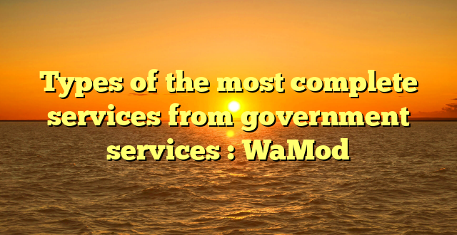 Types of the most complete services from government services : WaMod